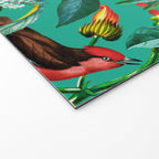 World of Birds X Welcome Mat Gallery Image 2