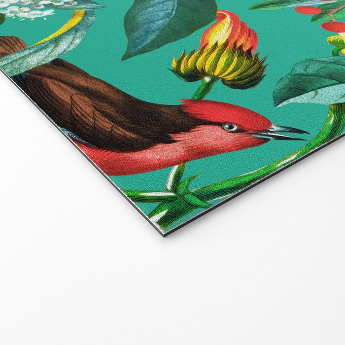 World of Birds X Welcome Mat Gallery Image 2