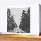 INTO THE WILD XXIII Wall Mural Gallery Image 2