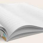 Vintage canned sardines // white background peacock teal and gold drop orange cans  Notebook Gallery Image 2