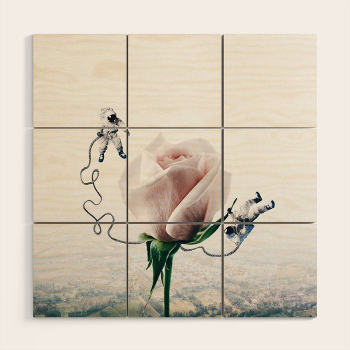 In Orbit Wood Wall Art Gallery Image 1