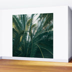 The Light Side Wall Mural Gallery Image 2