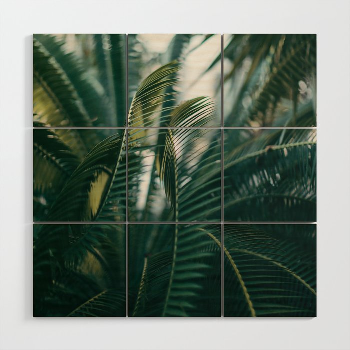 The Light Side Wood Wall Art Gallery Image 1