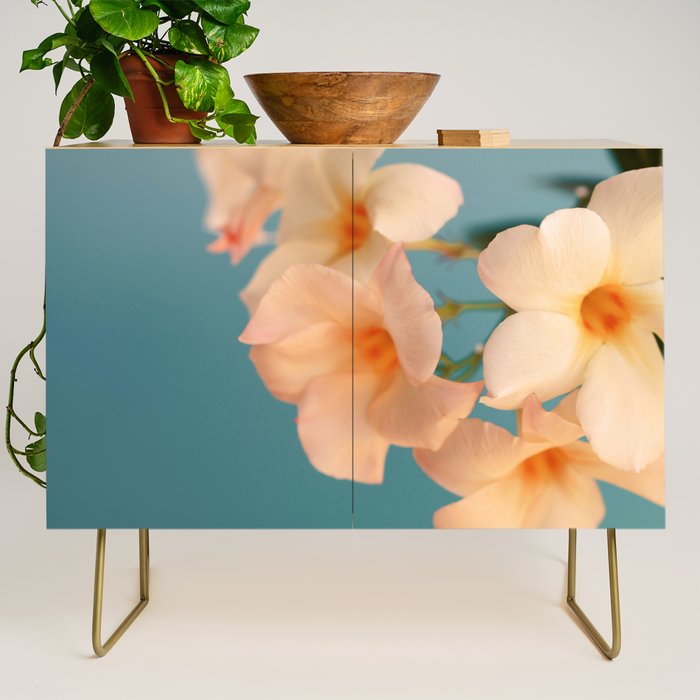 Tropicana #1 Credenza Gallery Image 1
