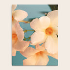 Tropicana #1 Notebook Gallery Image 4