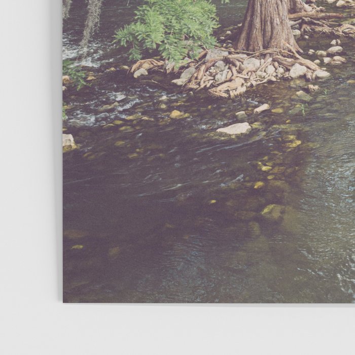Guadalupe River New Braunfels Texas Photography Poster Gallery Image 3
