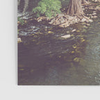 Guadalupe River New Braunfels Texas Photography Poster Gallery Image 3