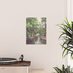 Guadalupe River New Braunfels Texas Photography Poster Gallery Image 2