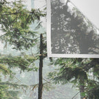Forest VIII Wall Tapestry Gallery Image 3