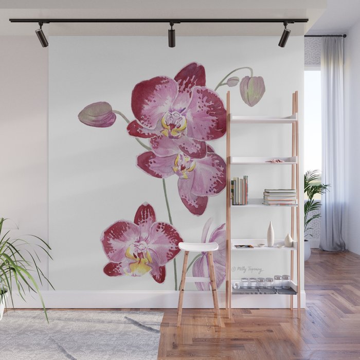 Orchid 2 Wall Mural Gallery Image 1