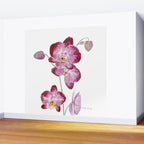 Orchid 2 Wall Mural Gallery Image 2