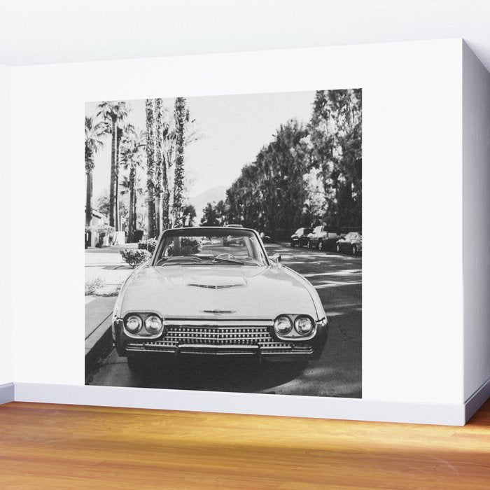 VINTAGE PALM SPRINGS Wall Mural Gallery Image 2