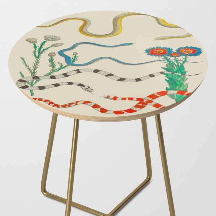 Locupletissimi rerum naturalium - vol. 2 - Albertus Seba Colorful Snake Floral Arrangement Side Table Gallery Image 2