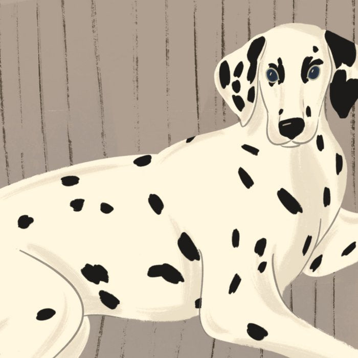 Portrait of a dog on a striped chair Coffee Mug Gallery Image 2