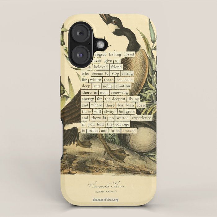 Bird Divinations: Canada goose (about: almanacofbirds.org) iPhone Case Gallery Image 1