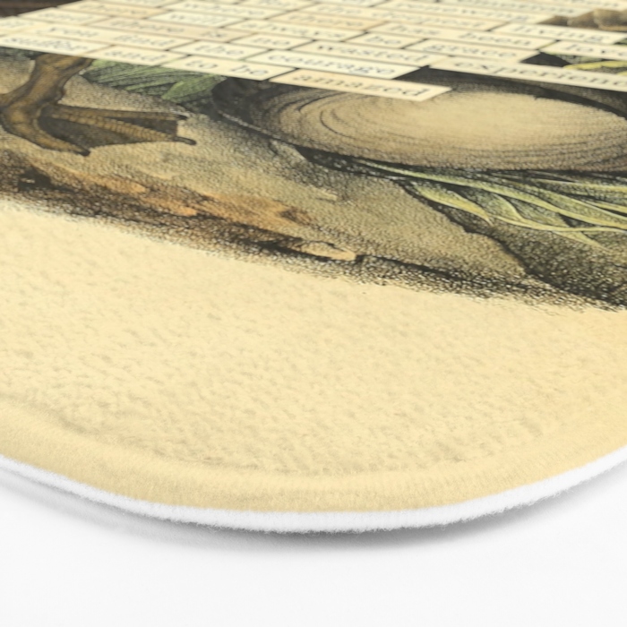 Bird Divinations: Canada goose (about: almanacofbirds.org) Bath Mat Gallery Image 3