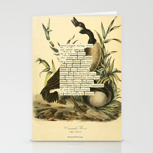 Bird Divinations: Canada goose (about: almanacofbirds.org) Stationery Card Gallery Image 1