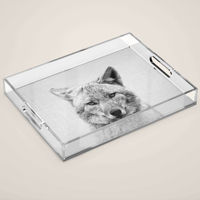 Coyote - Black & White Acrylic Tray Gallery Image 1