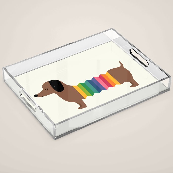 Rainbow Dooooog Acrylic Tray Gallery Image 1