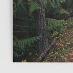 Fall Trail Poster Gallery Image 3
