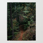 Fall Trail Poster Gallery Image 4