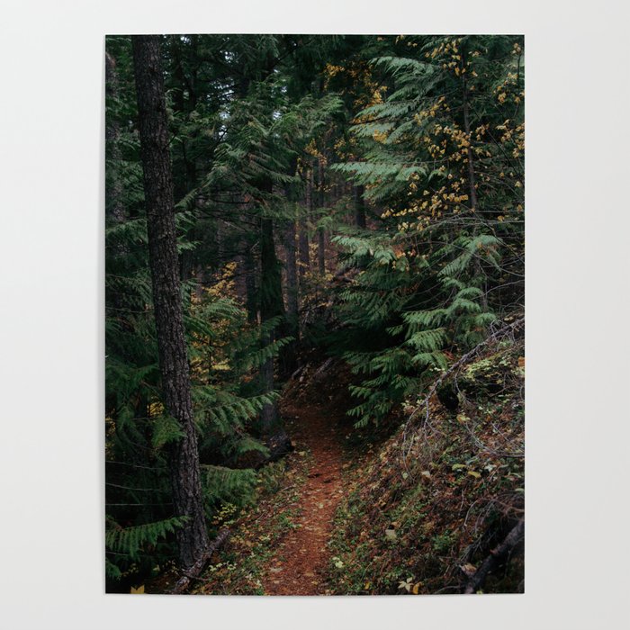 Fall Trail Poster Gallery Image 4