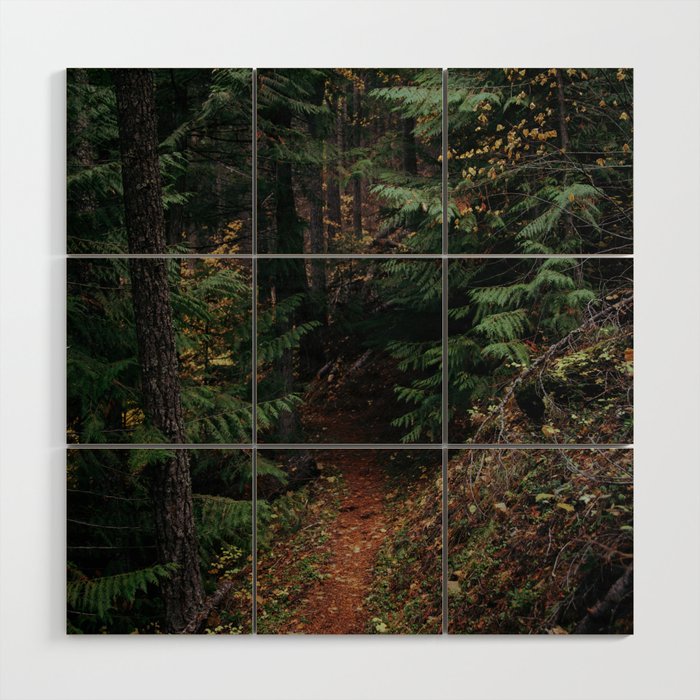 Fall Trail Wood Wall Art Gallery Image 1