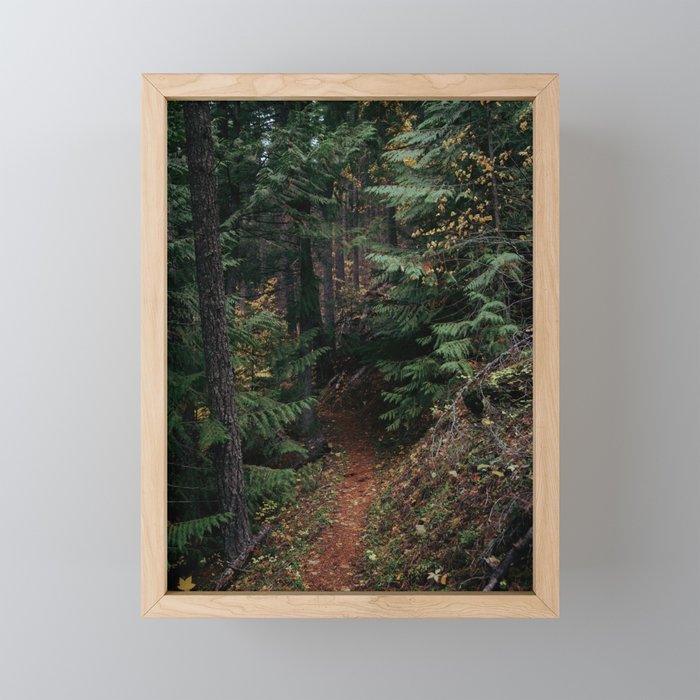 Fall Trail Mini Art Print Gallery Image 1