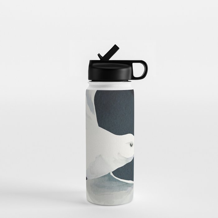 Silent Flight Water Bottle Gallery Image 1