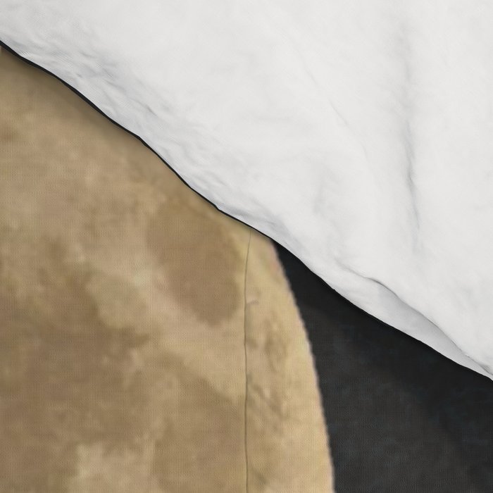 golden moon Comforter Gallery Image 4