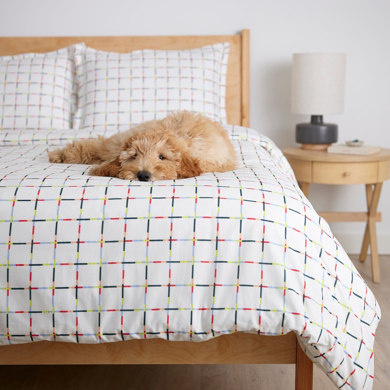 Mod Windowpane Brushed Cotton Duvet Cover Set