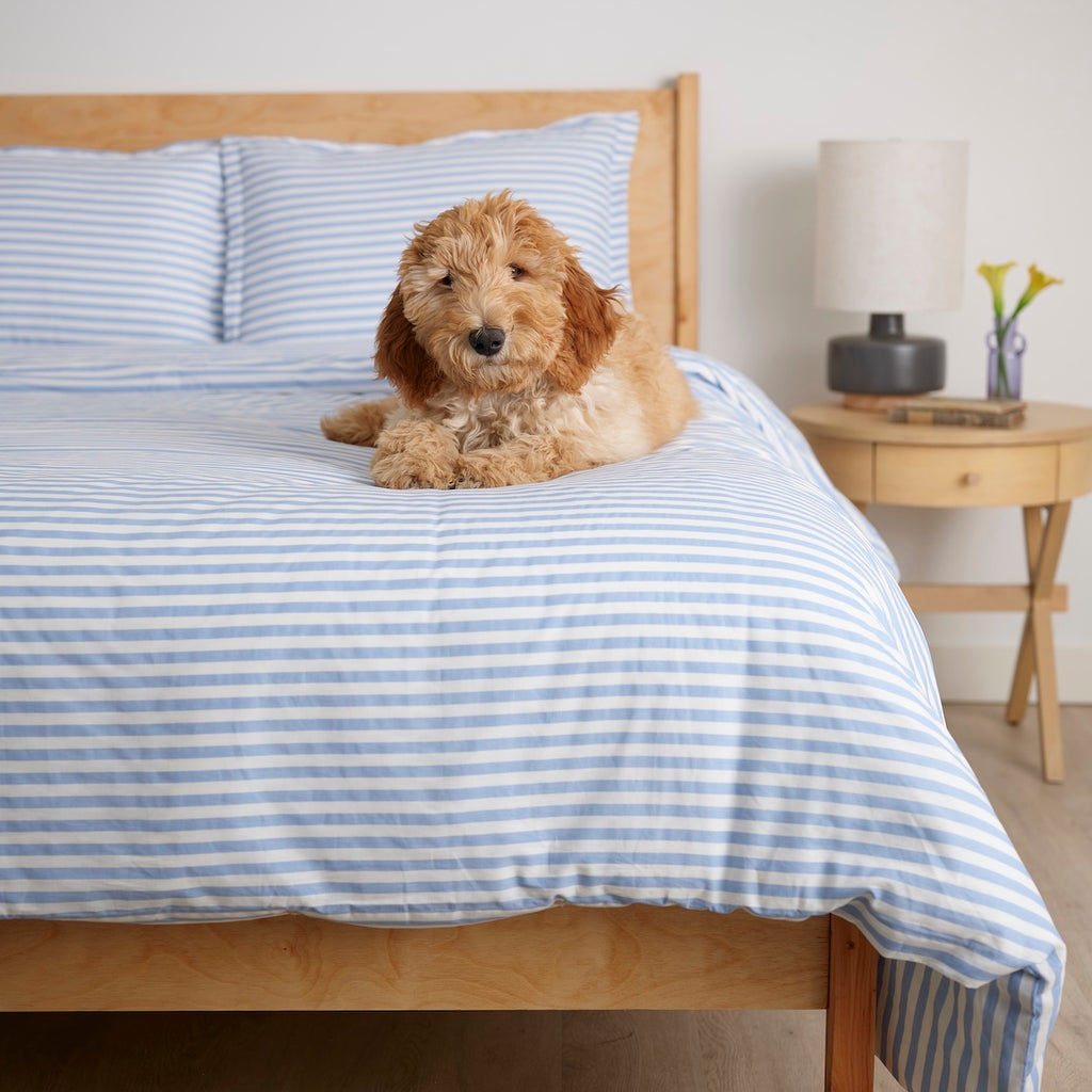 Simple Stripe Brushed Cotton Duvet Cover Set