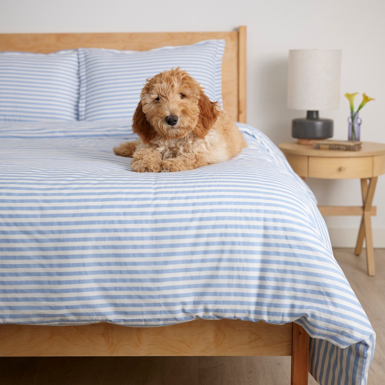 Simple Stripe Brushed Cotton Duvet Cover Set