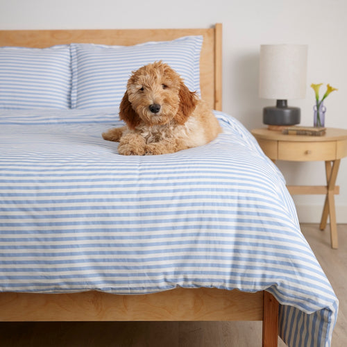 Simple Stripe Brushed Cotton Duvet Cover Set