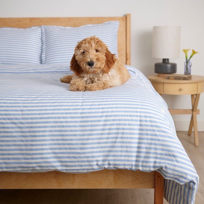 Simple Stripe Brushed Cotton Duvet Cover Set