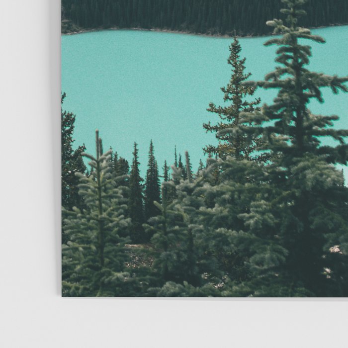 Peyto Lake II Poster Gallery Image 3
