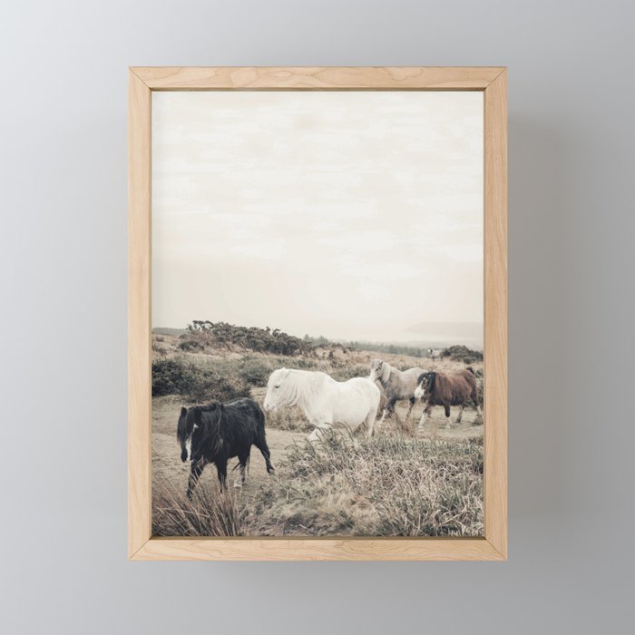 Wild horses on the endless highlands 3 Mini Art Print Gallery Image 1