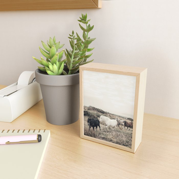 Wild horses on the endless highlands 3 Mini Art Print Gallery Image 2