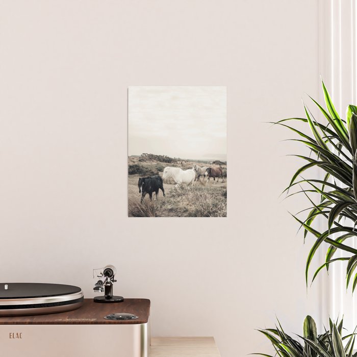 Wild horses on the endless highlands 3 Poster Gallery Image 2