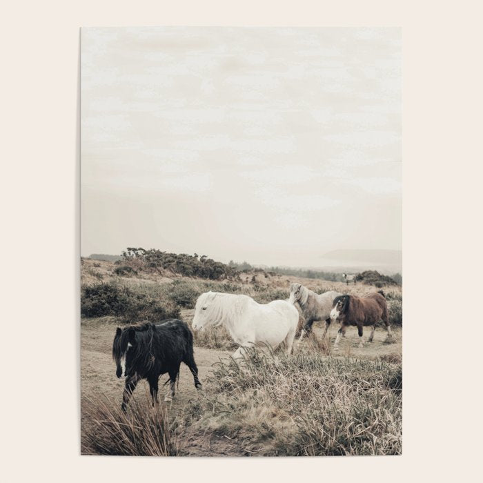 Wild horses on the endless highlands 3 Poster Gallery Image 1