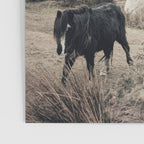 Wild horses on the endless highlands 3 Poster Gallery Image 3