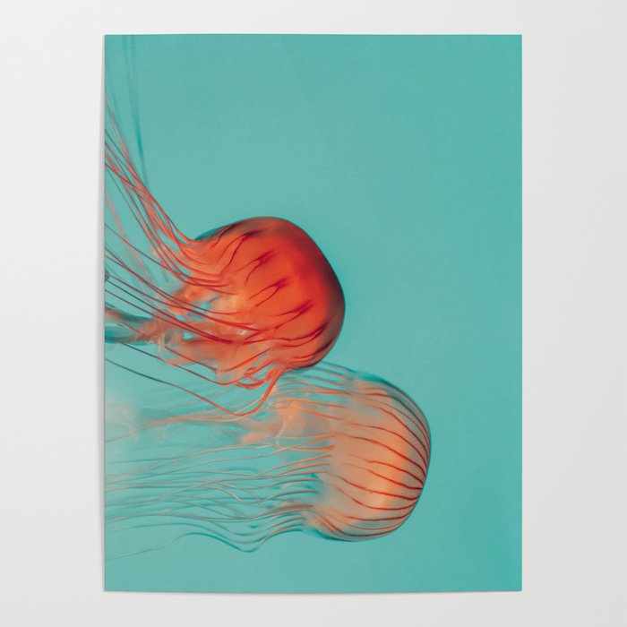 Jellyfish Dance Poster Gallery Image 4