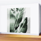 Banana leaf akin Wall Mural Gallery Image 2
