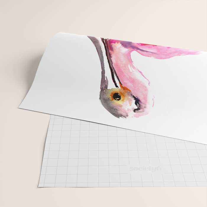 Roseate spoonbill Wrapping Paper Gallery Image 2