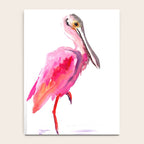 Roseate spoonbill Notebook Gallery Image 4