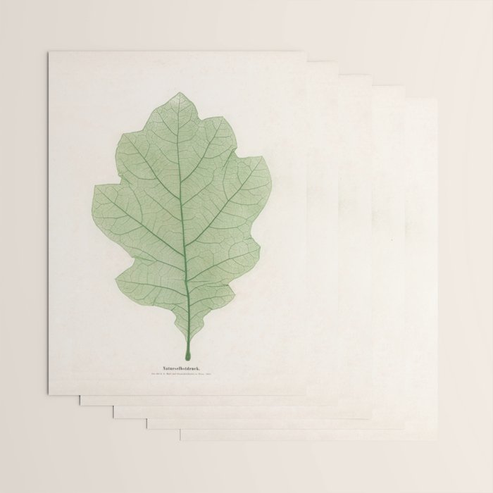 Oak Leaf Wrapping Paper Gallery Image 3