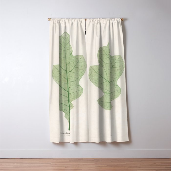 Oak Leaf Window Curtain Gallery Image 3