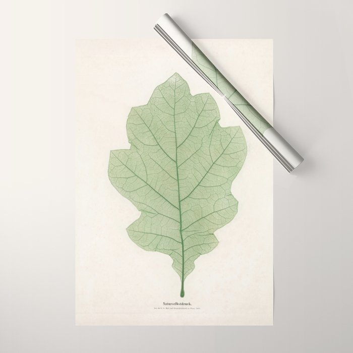 Oak Leaf Wrapping Paper Gallery Image 1