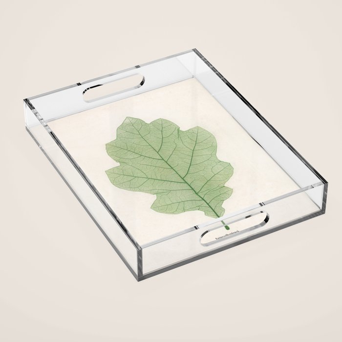 Oak Leaf Acrylic Tray Gallery Image 1