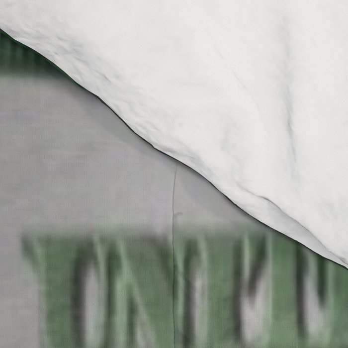 Proposed African American Icon Harriet Tubman Single U.S. Mint 20 Dollar bill Comforter Gallery Image 4